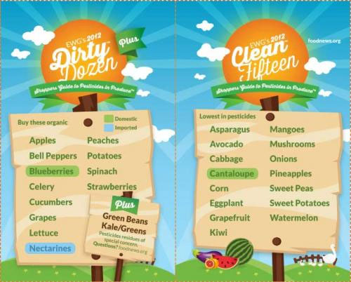 The Dirty Dozen – The top 12 pesticide sprayed produce